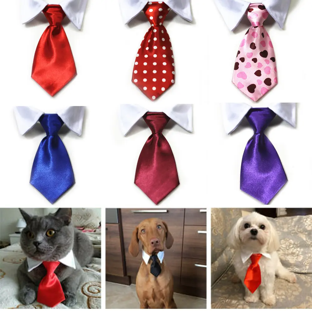 S864de651a4684aaa8160a00b57ab496bu.webp
